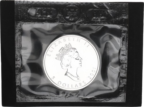 Kanada dollari oz argento - kanada,