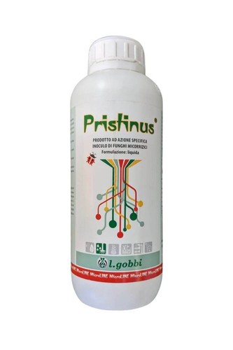Gobbi pristinus 1 kg - 1,