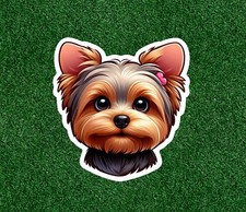 Cute Yorkshire Terrier yorkie