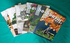 Bonsai Focus - Rivista di Arte