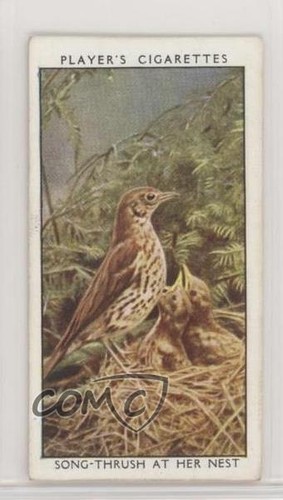 1932 player wild - player's,