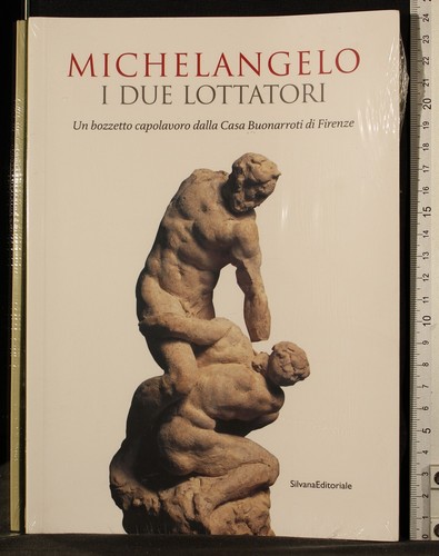 Michelangelo due lottatori - michelangelo.,