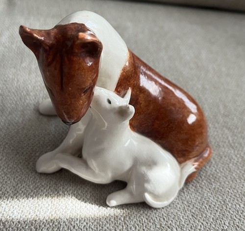 Bull terrier puppy - bull,