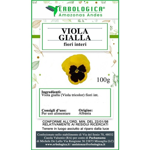 Viola gialla fiori - , interi