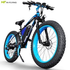 Mountain Bike Fat Elettrica a
