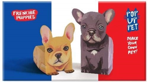 Pop pet frenchie puppies - pet,