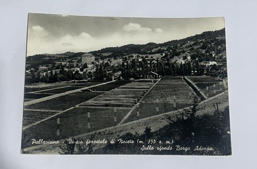 Cartolina pallavicino vivaio - pallavicino,