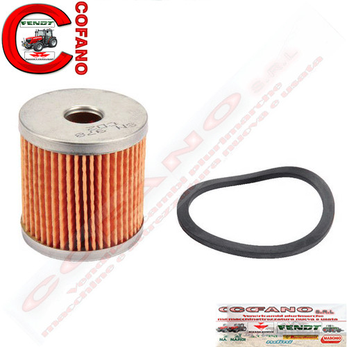 Filtro carburante interno