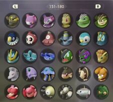 PERSONALIZZATO✨Lv100 SHINY