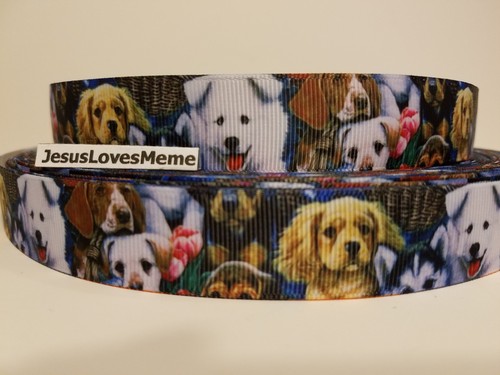 Nastro grosgrain cuccioli cani - cuccioli,