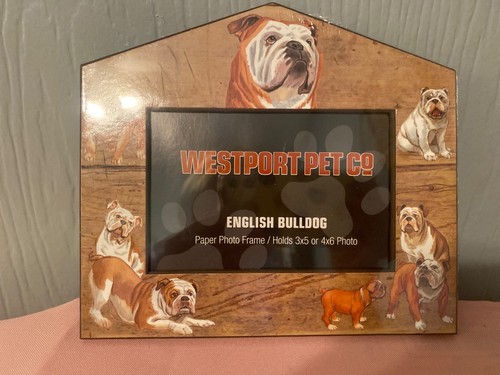 Westport pet picture - westport, co