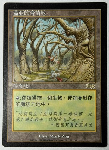 Wizards the coast mtg - wizards,