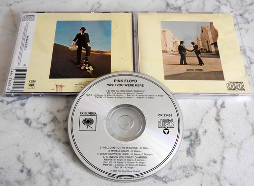Pink floyd wish - pink, were