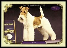 SKY 2024 Topps Allen & Ginter