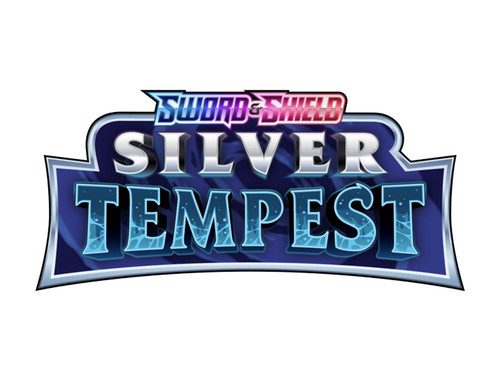 Trainer playsets silver - trainer,
