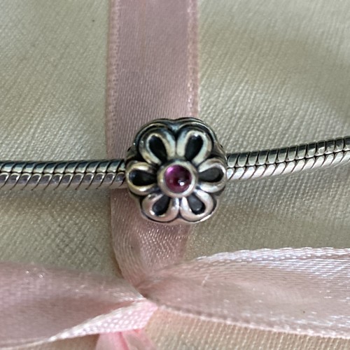 Originale pandora zinnia fiore - originale,