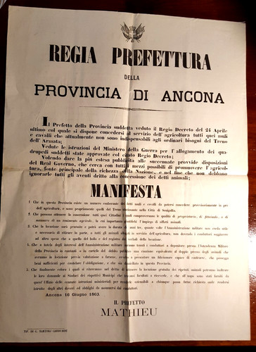 17394 marche ancona muli e - 17394-marche,,