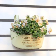 Vaso da fiori sospeso grande