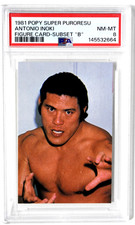 1981 Popy Super Puroresu