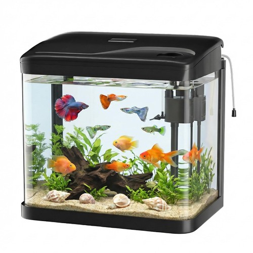 Acquario vetro - in,