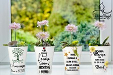  Festa dei nonni vaso