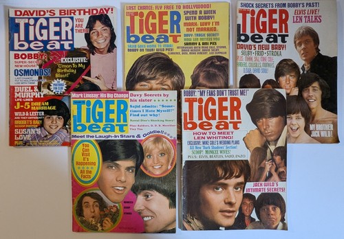 Tiger beat magazine lot - tiger, 5