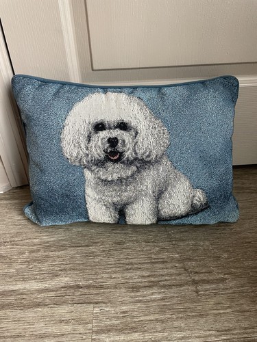 Bichon frise cane bianco - frise,