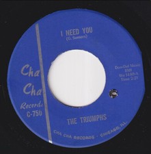 The TRIUMPHS * 1966 USA