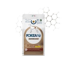 Forza 10 dog active intestinal colon fase 2 agnello e sorgo bianco 10kg