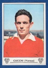 FIGURINA CALCIATORI PANINI