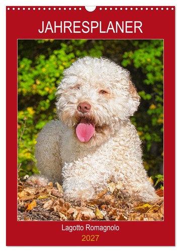 Jahresplaner lagotto romagnolo - jahresplaner,