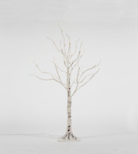 ALBERO RAMO NUDO BETULLA