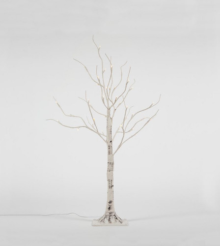 Albero ramo nudo - albero,