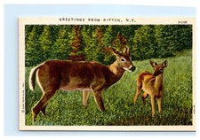 Cartolina: CURT TEICH & CO., INC. SALUTI DA RIFTON, N. Y. S-1106 7