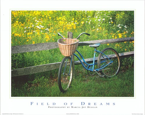 Bicicletta marcia joy duggan - joy,