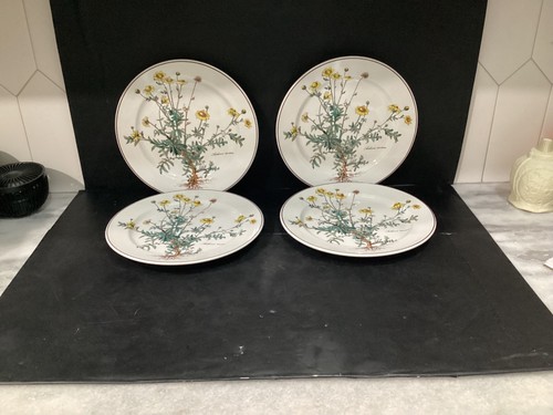 Villeroy boch botanica - villeroy,
