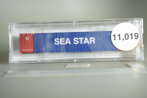 Microtreni scala 11019 - 11019, 53'