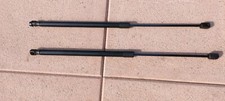 Pair of pneumatic shock
