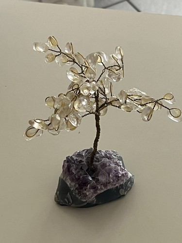 Albero bonsai gemme citrine - albero,