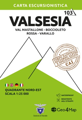 103 valsesia quadrante - valsesia.,