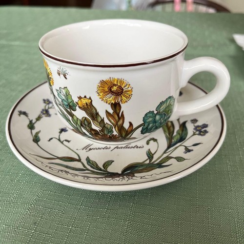 Villeroy boch botanica tazza - boch,