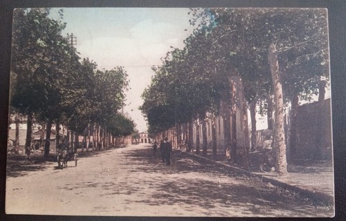 1915 benevento viale - 1915,