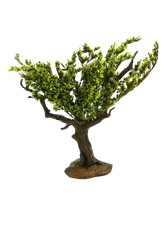 Albero di Ulivo Verde Cm 12 - Scenografia Vegetazione per Presepe
