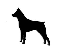 Miniatura Pinscher Cane Spilla