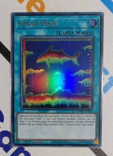 Sonar pesce - pesce, (fish
