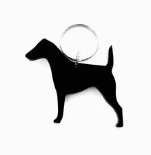 Fox Terrier Liscio Cappotto