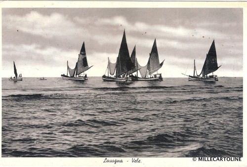 Lavagna vele 1953 - -,