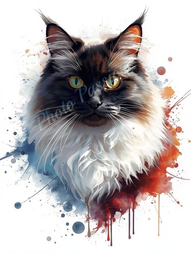 Poster art illustrazione gatto - art,