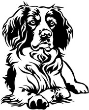 Adesivo EPAGNEUL BRETON -