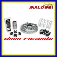 Variatore MALOSSI Multivar